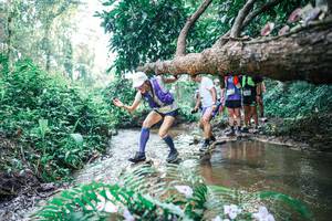 BIB: 
                            <button type="button" onclick="openModal(25455237)" class="btn btn-primary btn-sm float-right btn-popup" data-toggle="modal" data-target=".modal-high-quality">
                        <i class="fas fa-shopping-cart"></i> Add to Cart
                    </button>
                                            <button type="button" onclick="isThisMe(25455237, true)" class="btn btn-success btn-sm float-right btn-popup btn-isme hidden" data-toggle="tooltip" data-placement="bottom" title="นี่คือรูปของคุณใช่ไหม คลิกที่นี่เพื่อเอาเข้าอัลบั้ม">
                        <i class="fas fa-plus"></i> Add to album
                    </button>
                    <button type="button" onclick="isThisMe(25455237, false)" class="btn btn-warning btn-sm float-right btn-popup btn-isnotme hidden">
                        <i class="fas fa-ban"></i> Remove from album
                    </button>